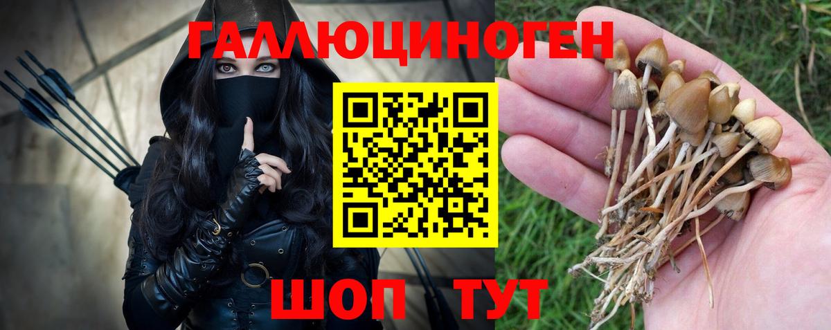 Псилоцибиновые грибы Psilocybine cubensis Наро-Фоминск