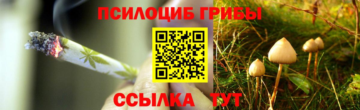 Псилоцибиновые грибы Magic Shrooms  где купить наркотик  Наро-Фоминск  Вход с VPN 